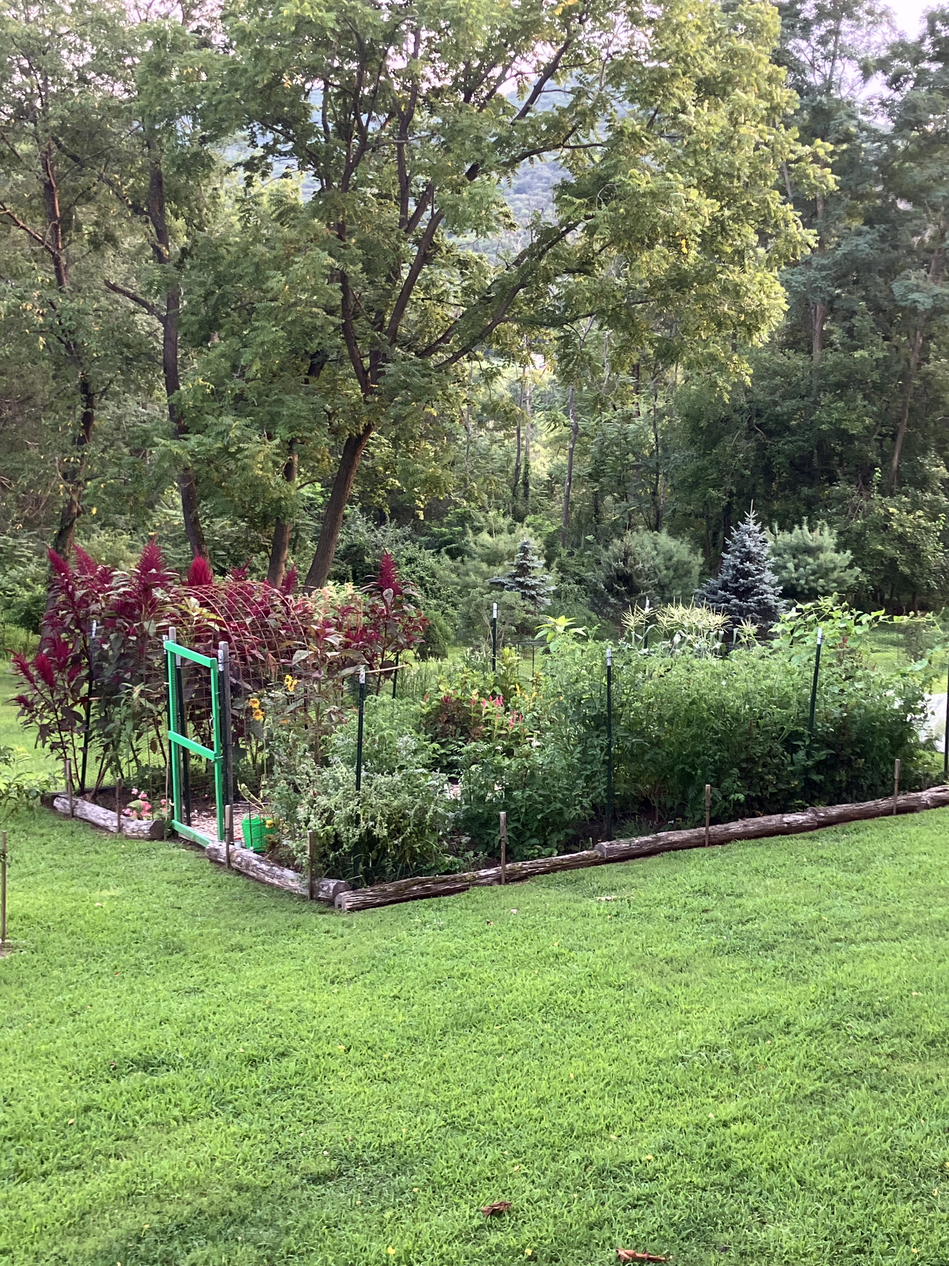 Tamar’s full garden surrounded by woods and hills