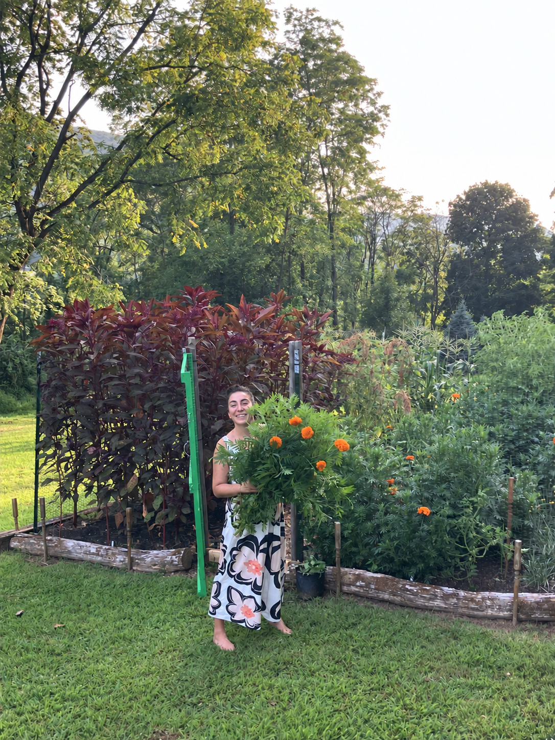 Tamar holding freshly picked orange marigolds in her garden